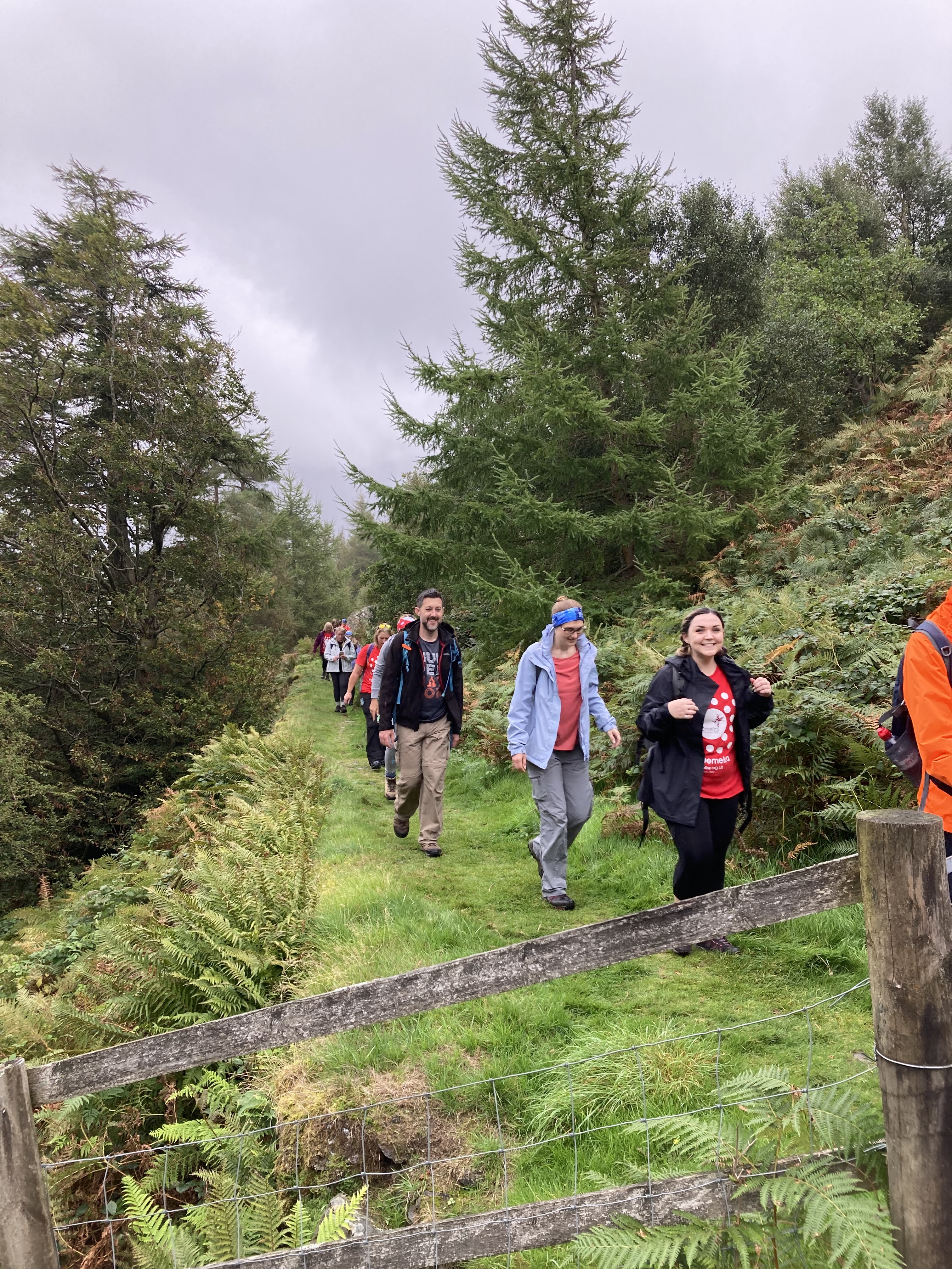 A team of hikers walking through a wooded area in Snowdonia National Park.