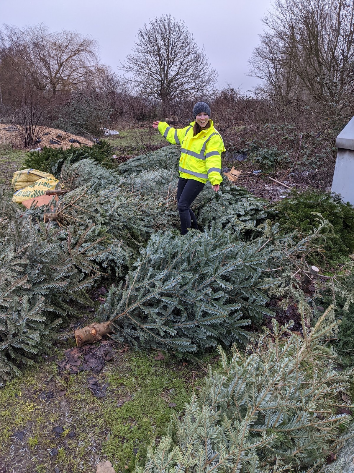 Charity Christmas Tree Recycling