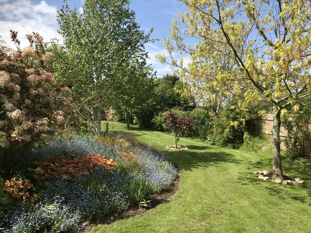 The garden of tranquillity at Demelza's Kent hospice, during spring, with flowers blooming and trees and bushes looking lovely and green,