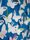 Bereavement Butterflies Blue