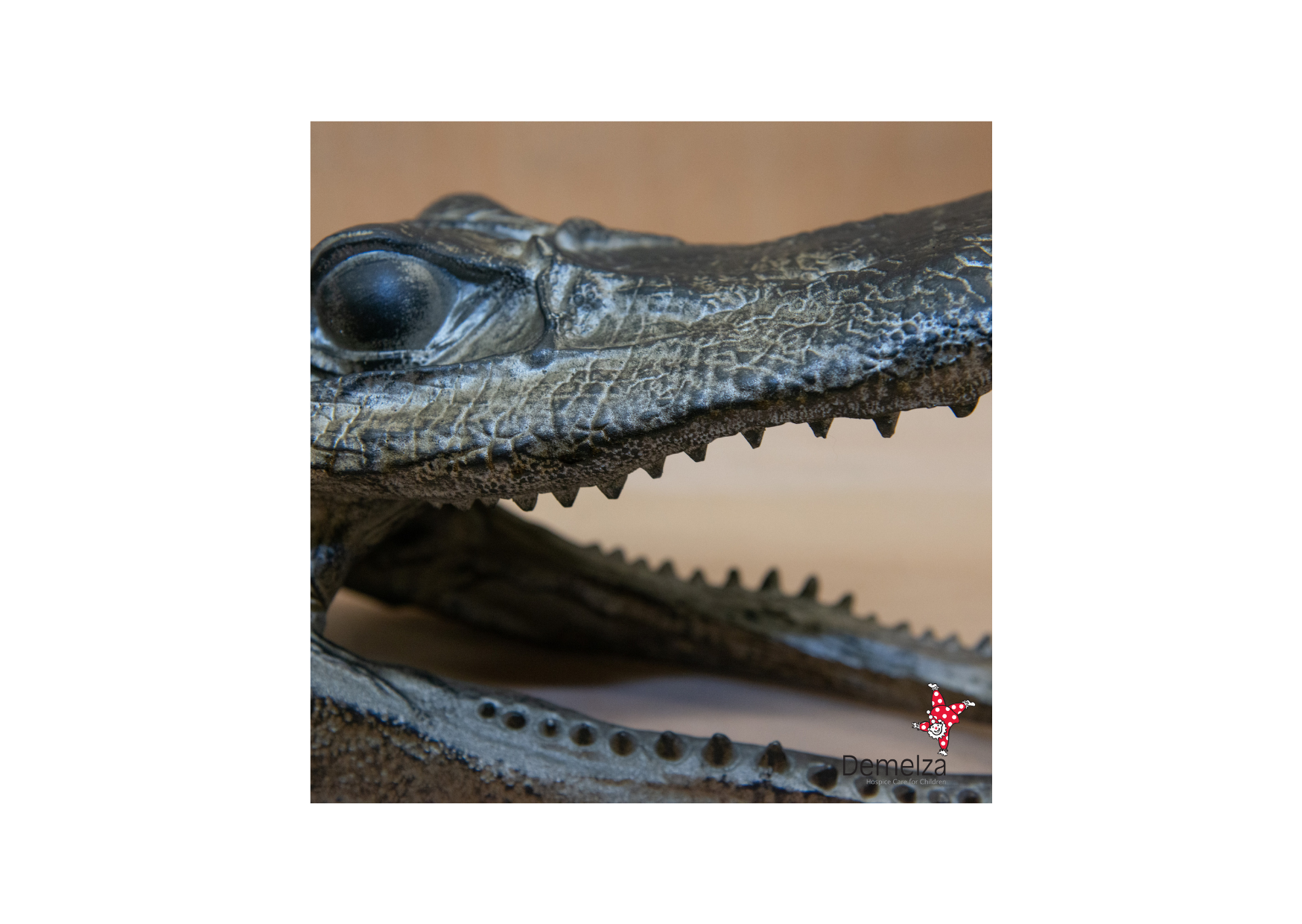 Decorative Crocodile Head Full Close Up