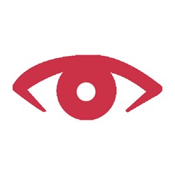 A picture of an eye.