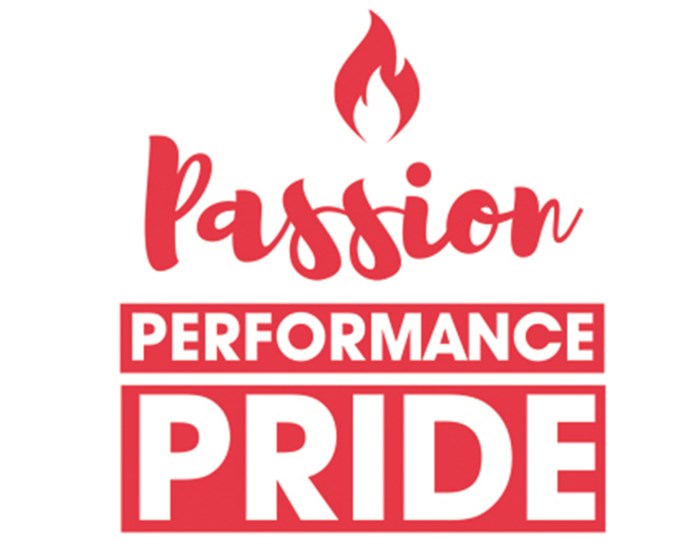 Demelza value logo saying passion, performance and pride.