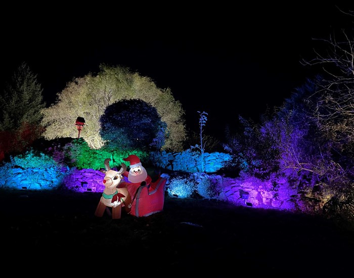 The Demelza garden's are lit up with colourful lights, at night time.