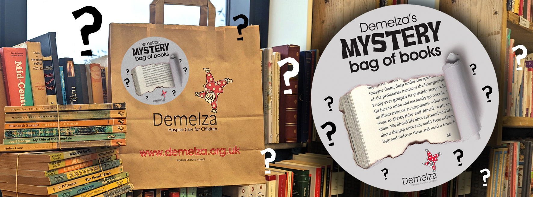 Demelza's Mystery Bag of Books next to piles of books in shop