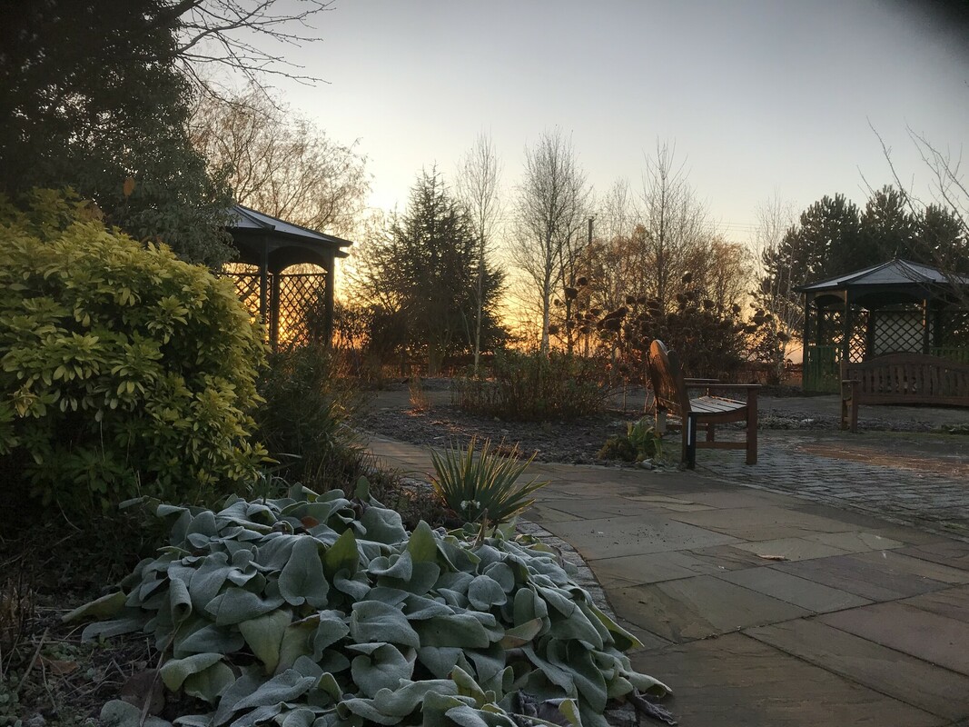 The garden of tranquillity at Demelza's Kent hospice.
