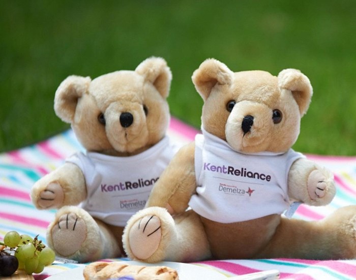 Two teddy bears sit together, wearing white tops with the Kent Reliance and Demelza logos.