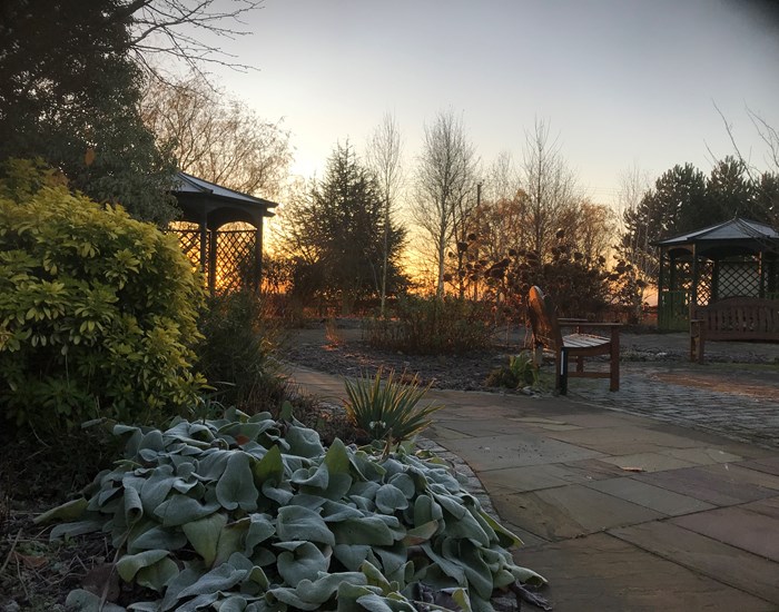 Sunrise in the Tranquility Garden at Demelza Kent
