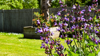 Flowers in our East Sussex gardens