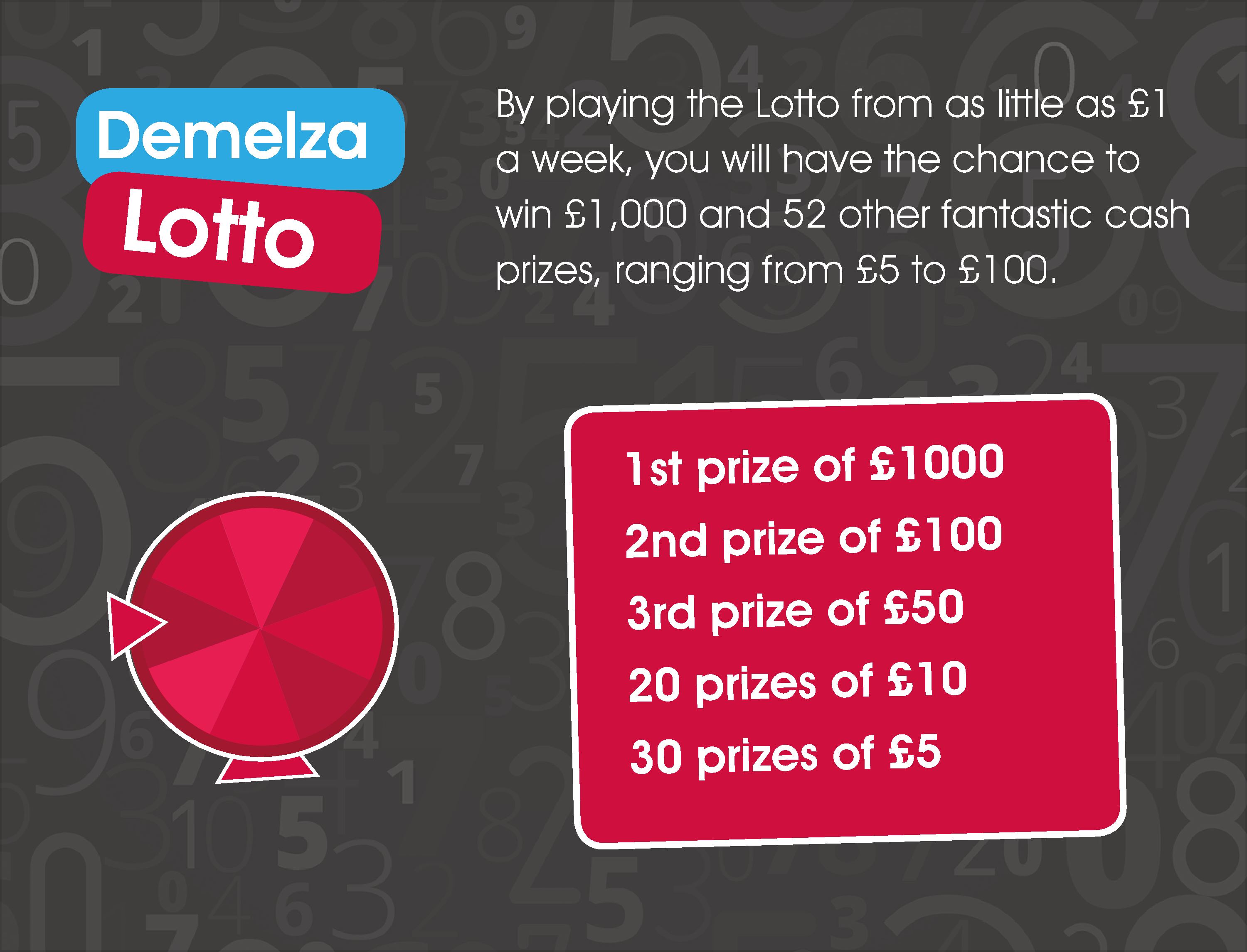 Demelza Lotto Prizes to win