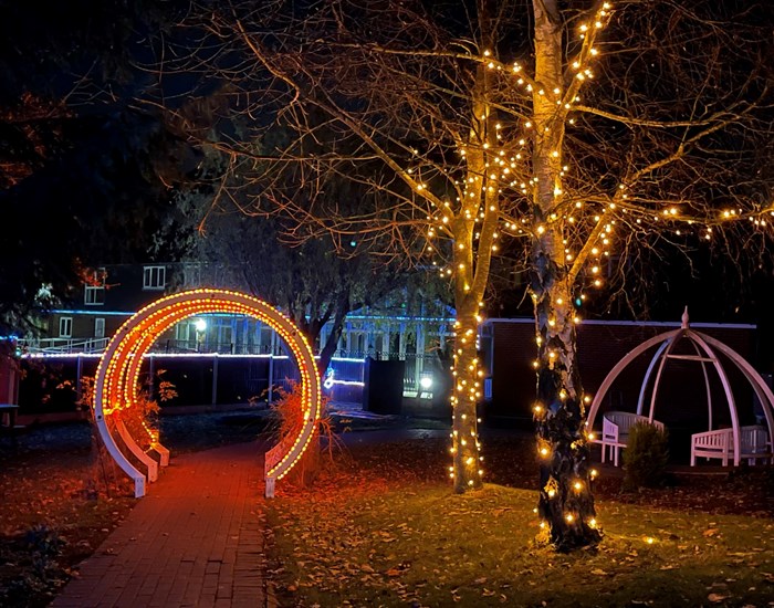Demelza's garden is lit up with colourful lights, at night time. 