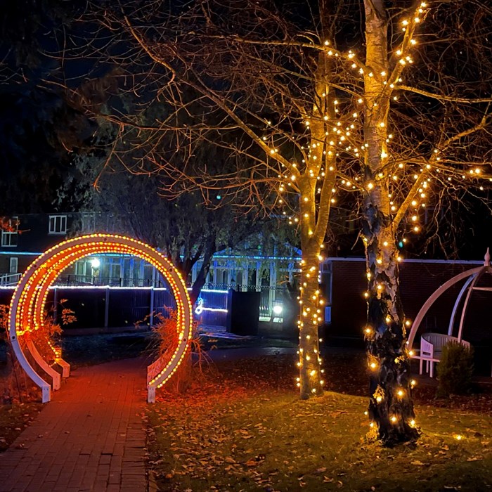 Demelza's garden is lit up with colourful lights, at night time. 